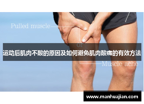 运动后肌肉不酸的原因及如何避免肌肉酸痛的有效方法