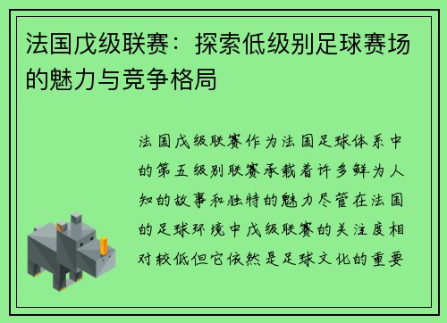 法国戊级联赛：探索低级别足球赛场的魅力与竞争格局